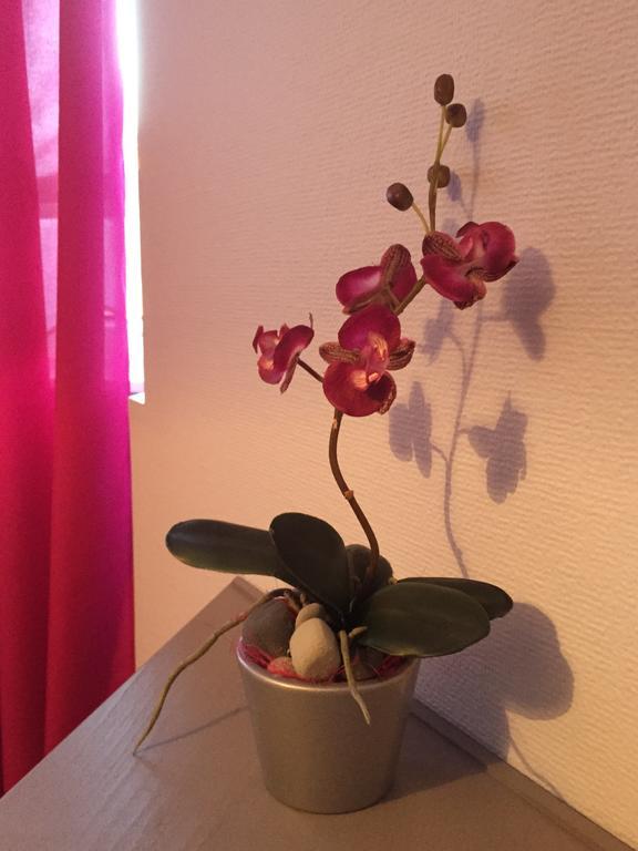 Hotel A L'Ancre Mothern 部屋 写真